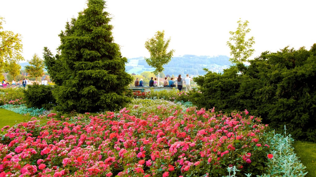 Bern-Rose-Garden