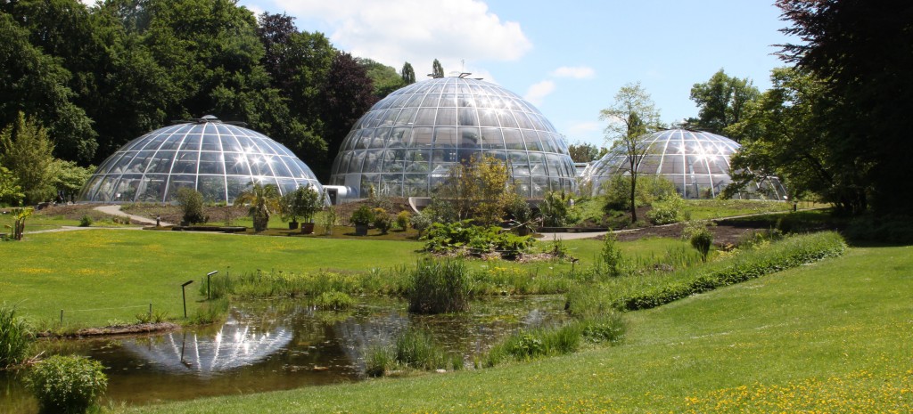 Botanischer Garten