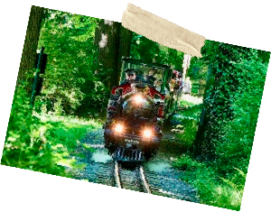 Dresden-fahrt-100
