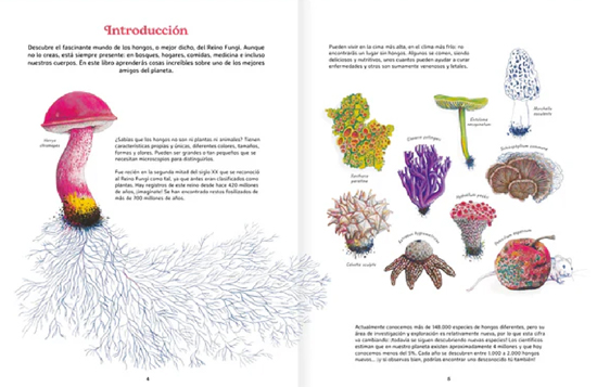 Fungi-foto-xs