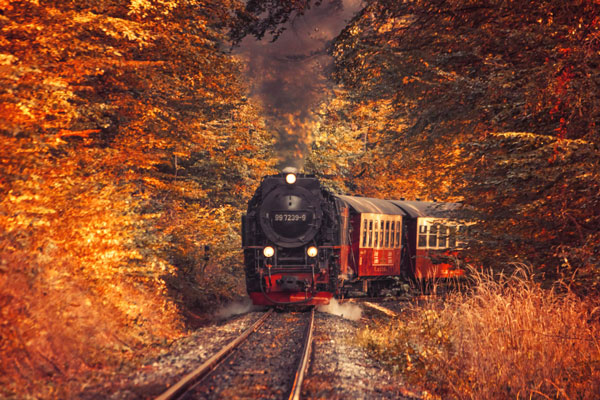 Harzer-Schmalspurbahn-Eisenbahn_20092020_605-scaled