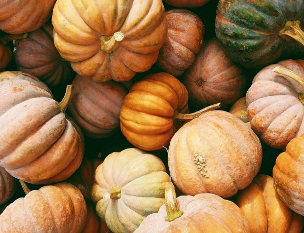 Nuestras Recetas Otoñales Favoritas