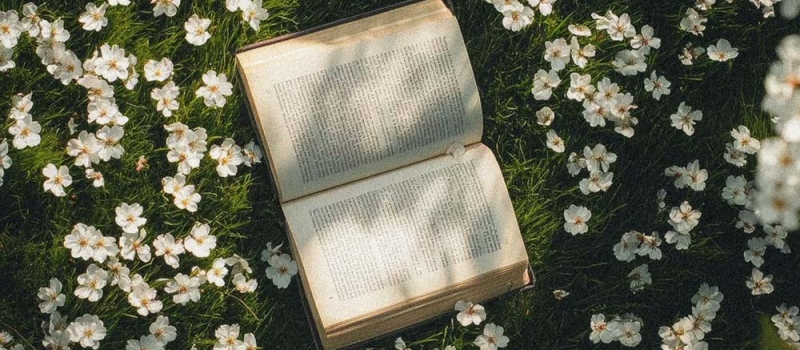 Libros en alemán para cada etapa de tu vida