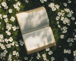 Libros en alemán para cada etapa de tu vida