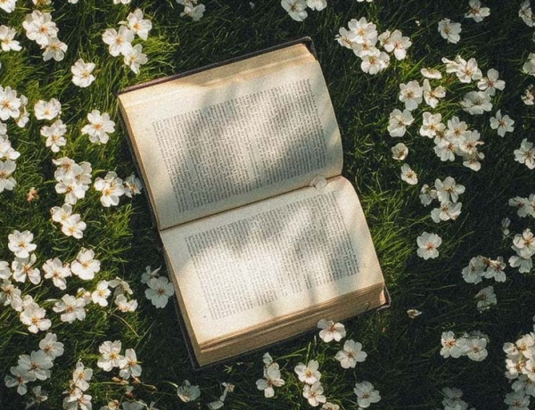 Libros en alemán para cada etapa de tu vida