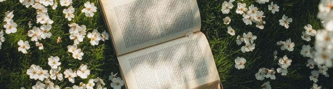 Libros en alemán para cada etapa de tu vida