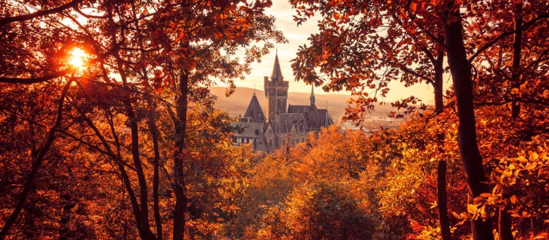 6 ciudades alemanas para visitar en Otoño