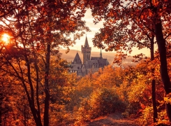 6 ciudades alemanas para visitar en Otoño