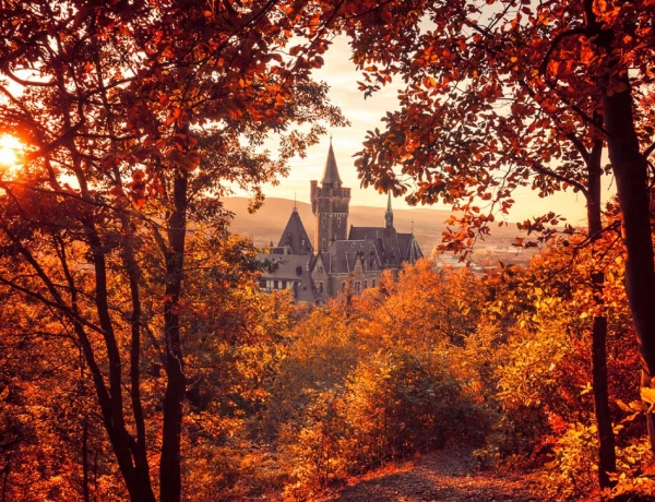 6 ciudades alemanas para visitar en Otoño