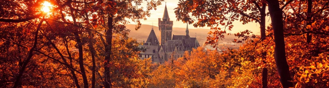 6 ciudades alemanas para visitar en Otoño