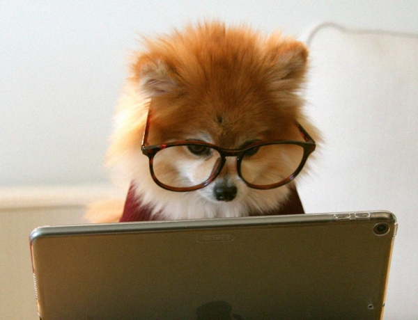 5 razones por las que aprender alemán es más fácil de lo que crees