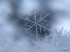 7 tipos de nieve