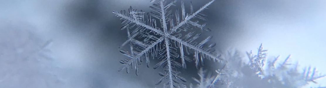 7 tipos de nieve
