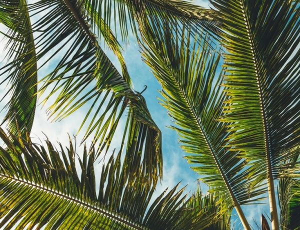 Vocabulario: el verano en alemán