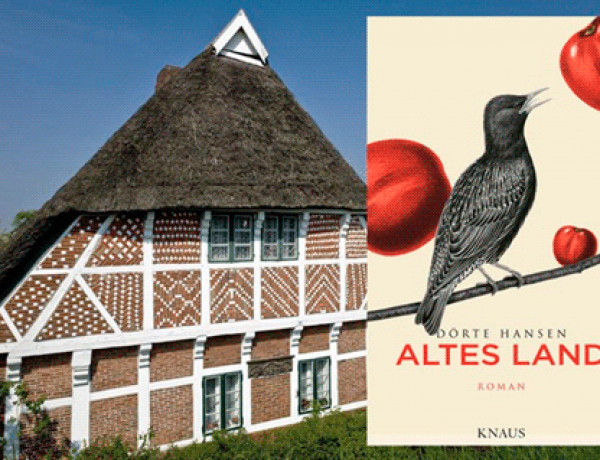 Altes Land de Dörte Hansen