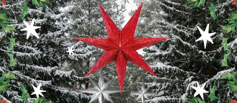 Acompañantes de San Nicolás