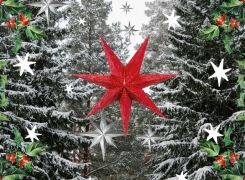 Acompañantes de San Nicolás