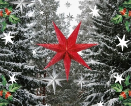 Acompañantes de San Nicolás