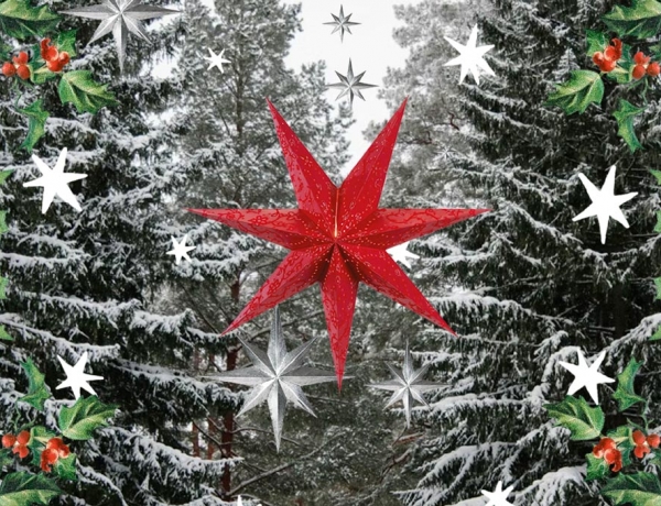 Acompañantes de San Nicolás