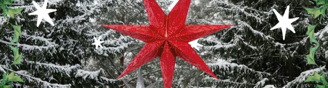 Acompañantes de San Nicolás