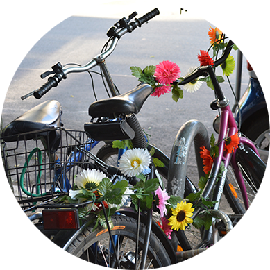 bicis bicis