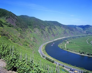 Einzellage 'Bremmer Calmont' (Bremm, Mosel-Saar-Ruwer)