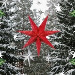 portada-blog-acompanantes-san-nicolas