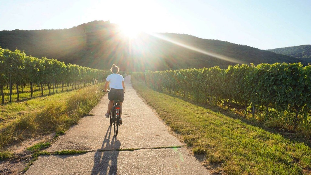 suedliche-weinstrasse-radweg-radfahren-pfalz