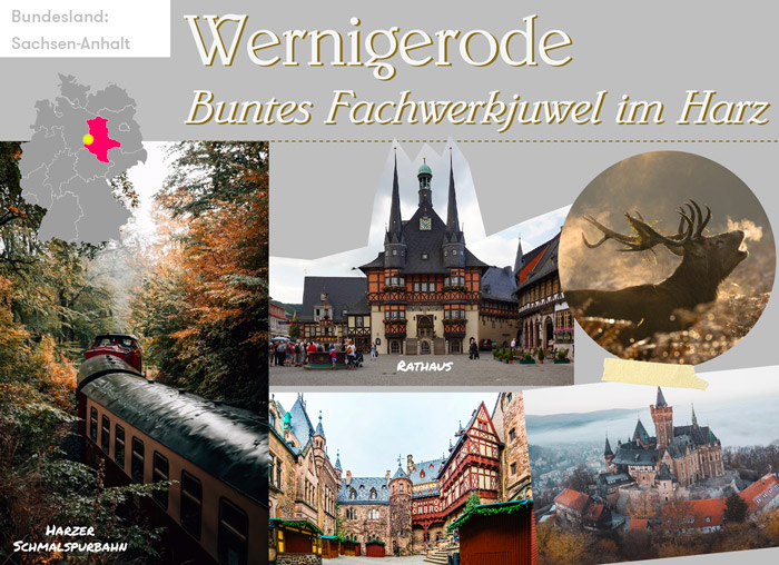 web-wernigerode
