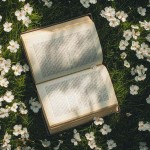 blog-portada-diadellibro2026