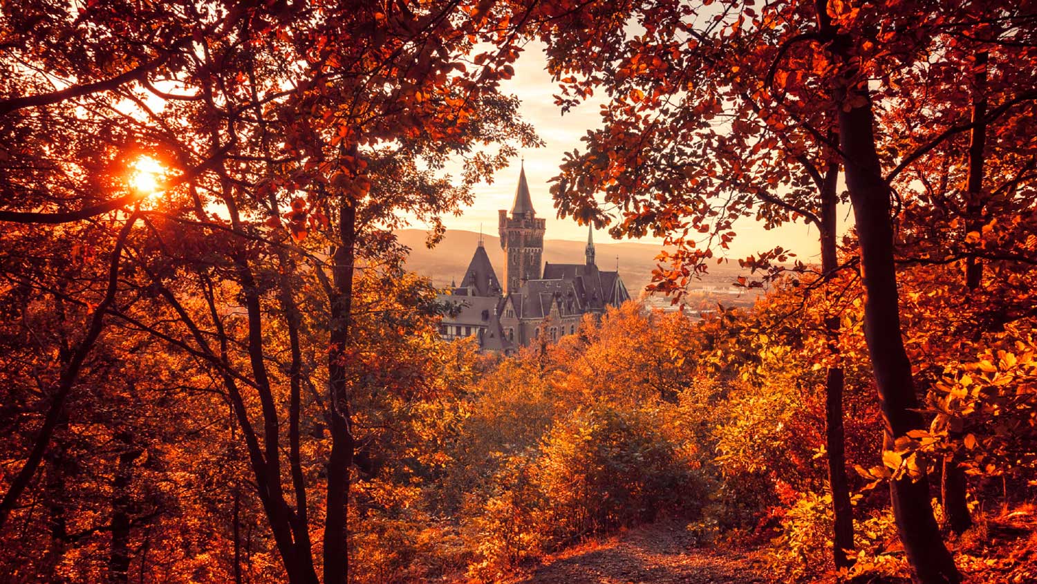 6 ciudades alemanas para visitar en Otoño