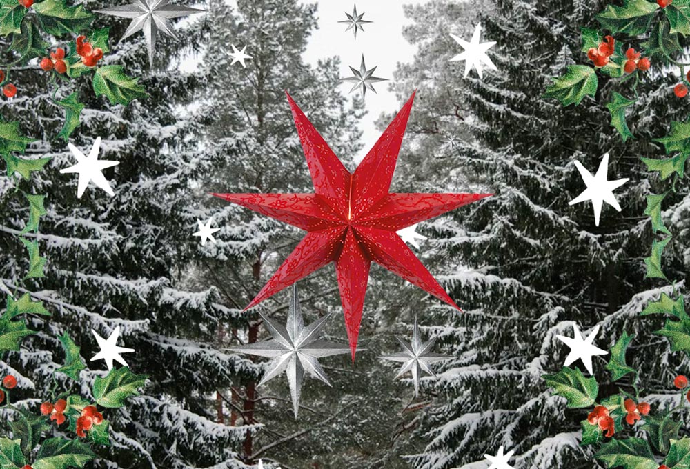 Acompañantes de San Nicolás Acompañantes de San Nicolás